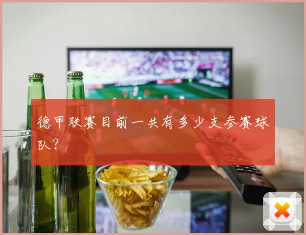 德甲联赛目前一共有多少支参赛球队？