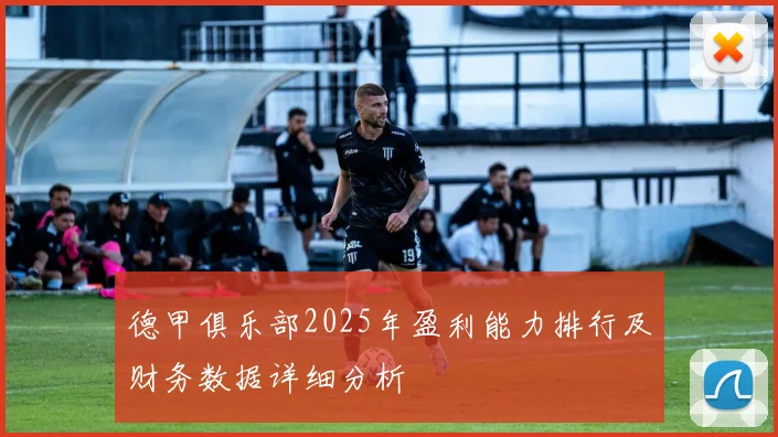 德甲俱乐部2025年盈利能力排行及财务数据详细分析