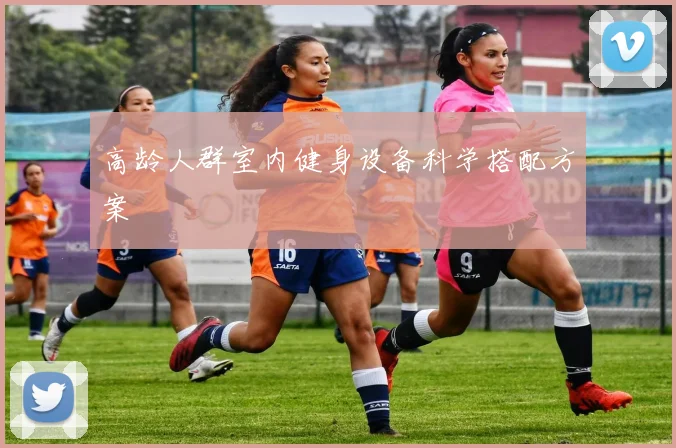 高龄人群室内健身设备科学搭配方案