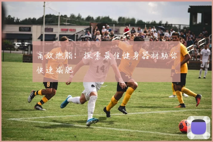 高效燃脂：探索最佳健身器材助你快速减肥